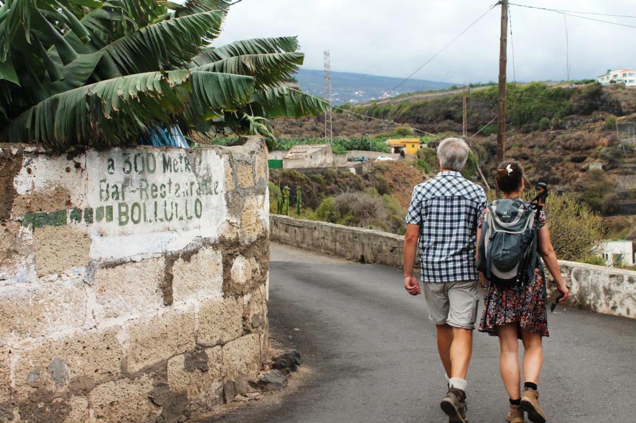 Finca La Plantacion _Agroturismo La Orotava Ngoại thất bức ảnh
